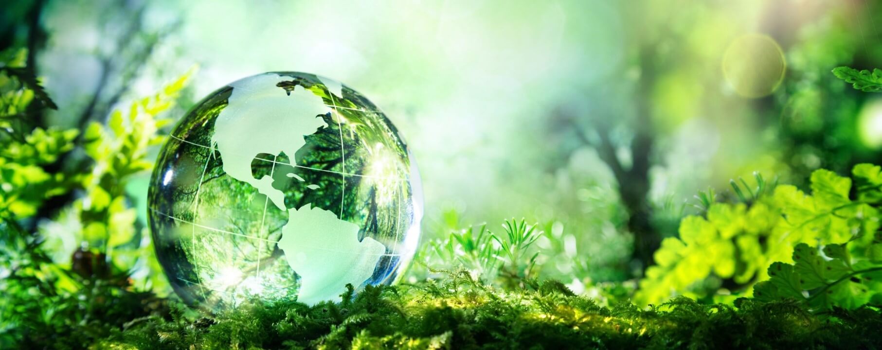 Miljöbild av glob i grön natur